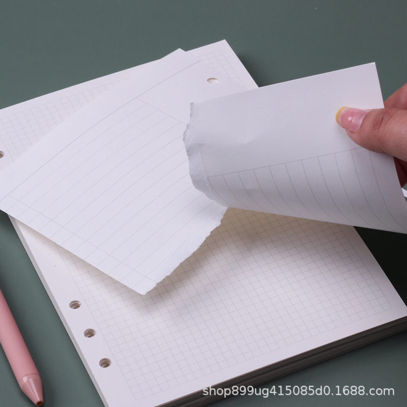 A5 Loseblatt-Notizbuch-Nachfül – A5 Spiral Dotted Grid Notebook Bewertung und Preis