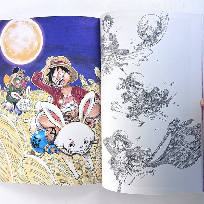 One Piece Illustration Book Co – Stationery Books Bewertung und Preis